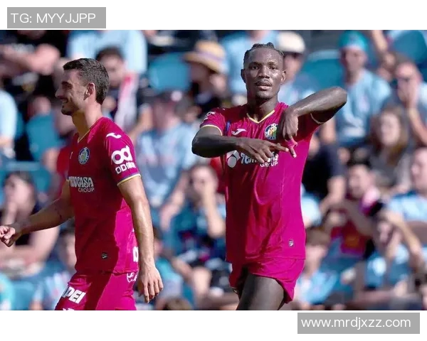 《全球足球明星的荣耀之路：从草根到巅峰的传奇旅程》