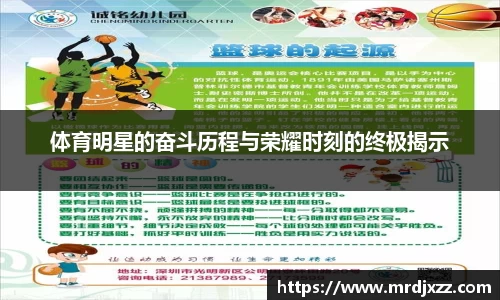 体育明星的奋斗历程与荣耀时刻的终极揭示